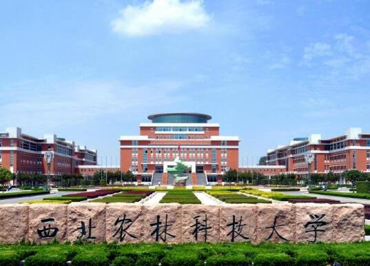 中國十大農(nóng)業(yè)大學(xué)排名,中國農(nóng)業(yè)大學(xué)、南京農(nóng)業(yè)大學(xué)師資力量雄厚