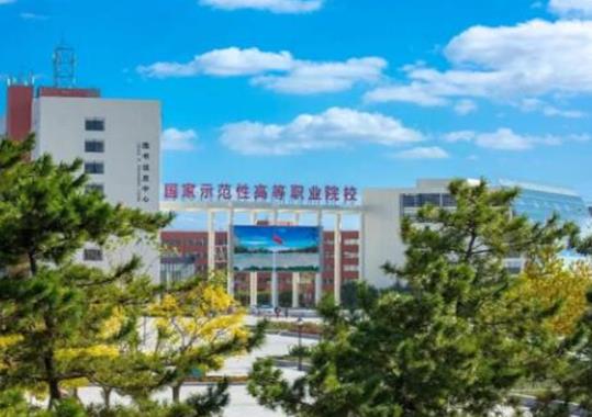山東十大職業學院排名,淄博職業學院、威海職業學院發展前景很不錯