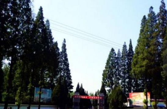 山西省朔州市十大旅游景點排行榜 朔州有什么好玩的地方去旅游