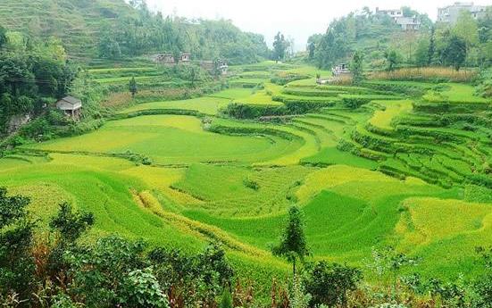 新疆省克孜勒蘇十大旅游景點(diǎn)排行榜 克孜勒蘇有什么好玩的地方