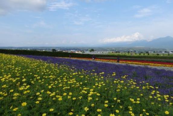 日本北海道十大旅游景點排行榜 北海道有什么好玩的地方
