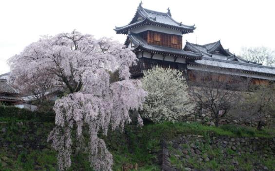 日本奈良縣十大旅游景點排行榜 奈良縣有什么好玩的地方