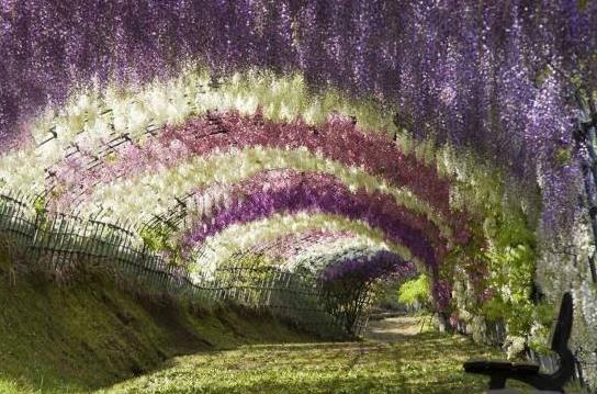 日本福岡縣十大旅游景點排行榜 福岡縣有什么好玩的地方