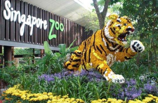 亞洲新加坡十大旅游景點排行榜 新加坡旅游有什么好玩的地方