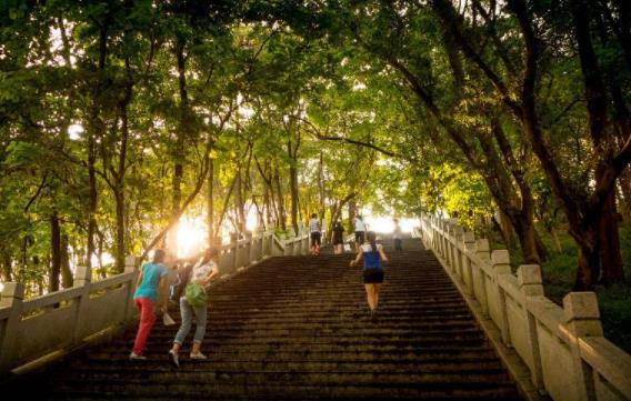 巴基斯坦伊斯蘭堡十大旅游景點(diǎn)排行榜 伊斯蘭堡有什么好玩的地方