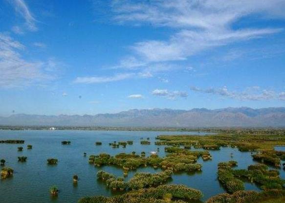 老外眼中最美9個中國旅游景點排行 寧夏沙湖是中國觀鳥的首選之地