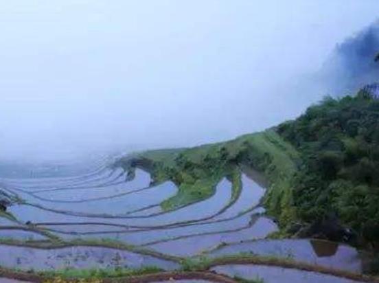 世界十大雨林旅游景點排行 塞拉多保護區由兩個部分組成