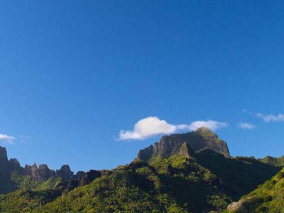 世界上最神秘的十大島嶼旅游景點排行 企鵝島被稱為企鵝的天堂