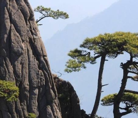 老外眼中最美9個中國旅游景點排行 寧夏沙湖是中國觀鳥的首選之地