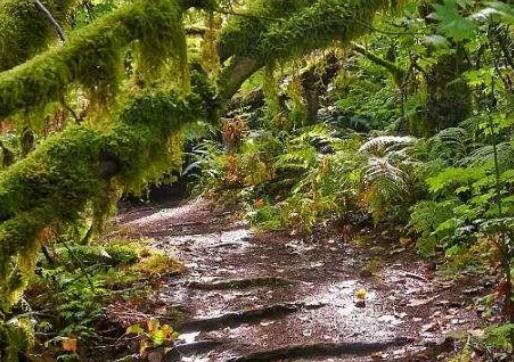 世界十大雨林旅游景點排行 塞拉多保護區由兩個部分組成