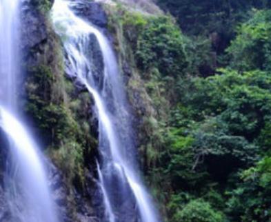 世界上十大落差最大瀑布旅游排行 布朗瀑布位于新西蘭峽灣國家公園