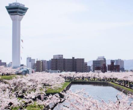 去日本不能錯過的十大日料美食聚集地旅游景點(diǎn)排行 東京獨(dú)一無二