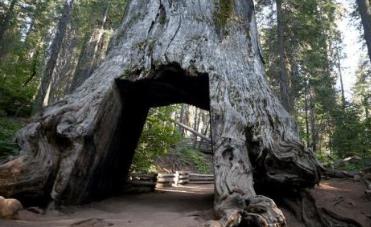 世界奇特隧道中國獨(dú)占其二 錫安-迦密山隧道位于錫安國家公園