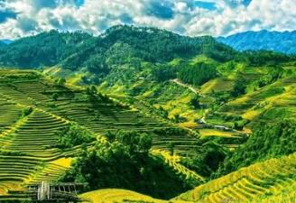 中國境內(nèi)最邪門的地方排行榜 廣州一村莊有個奇怪的倒影塘