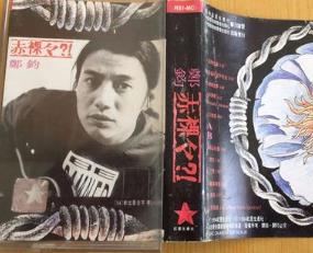 中國的九大經(jīng)典搖滾樂隊(duì)排行榜 崔健《一無所有》是一種全新感覺