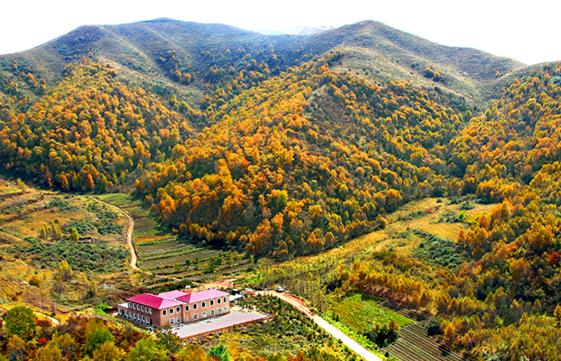 國(guó)內(nèi)適合4月份出游的十大景點(diǎn)排行 黑龍江五大連池是國(guó)家AAAAA級(jí)旅游景區(qū)
