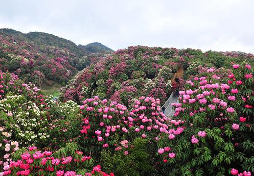 國(guó)內(nèi)適合4月份出游的十大景點(diǎn)排行 黑龍江五大連池是國(guó)家AAAAA級(jí)旅游景區(qū)