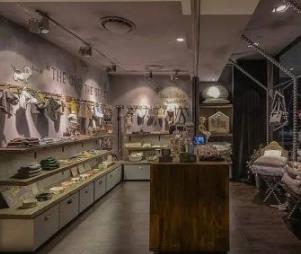 寵物店十大品牌排名 大嘴狗寵物店成立于2009年專注寵物醫(yī)療服務(wù)