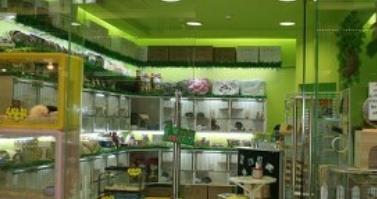 寵物店十大品牌排名 大嘴狗寵物店成立于2009年專注寵物醫(yī)療服務(wù)