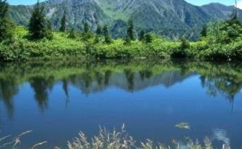 國內適合5月份出游的十大景點 廈門鼓浪嶼是中國申遺項目