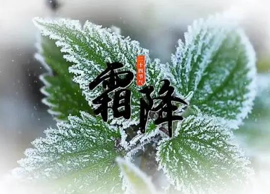 2022年霜降是不是就開始下霜了?霜降溫度會很低嗎 2022年霜降是不是就開始下霜了?霜降溫度會很低嗎