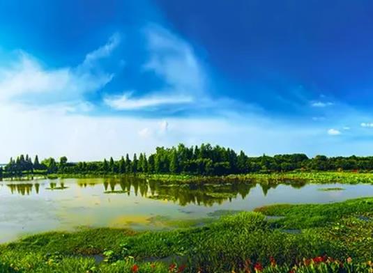 武漢府河濕地公園好玩嗎?武漢府河濕地公園可以燒烤嗎 武漢府河濕地公園好玩嗎?武漢府河濕地公園可以燒烤嗎