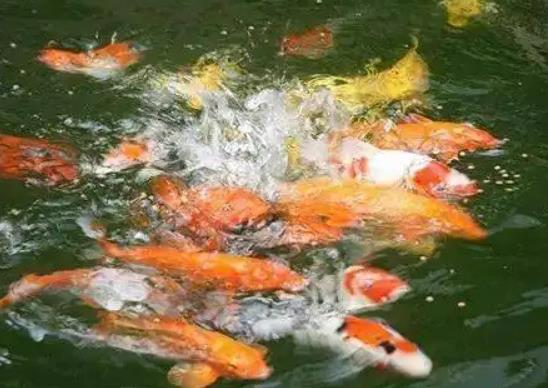 1655255971799456.jpg 360截圖20220615091544720.jpg