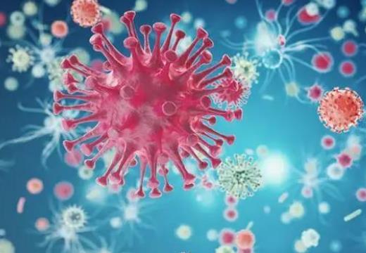 得了新冠發(fā)燒可以吃安乃近嗎?新冠肺炎嗅覺和味覺失靈的原因 得了新冠發(fā)燒可以吃安乃近嗎?新冠肺炎嗅覺和味覺失靈的原因