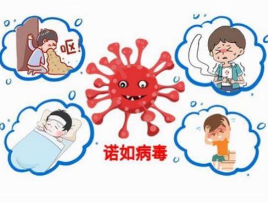 諾如病毒是新冠病毒的一種嗎?諾如病毒和新冠病毒有什么區(qū)別 諾如病毒是新冠病毒的一種嗎?諾如病毒和新冠病毒有什么區(qū)別