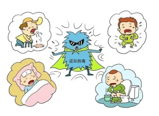 諾如病毒可以喝奶粉嗎?諾如病毒可以喝淡鹽水嗎 諾如病毒可以喝奶粉嗎?諾如病毒可以喝淡鹽水嗎