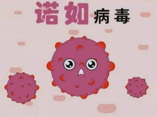 諾如病毒要去防疫部門查嗎?諾如病毒能吃魚蝦嗎 諾如病毒要去防疫部門查嗎?諾如病毒能吃魚蝦嗎