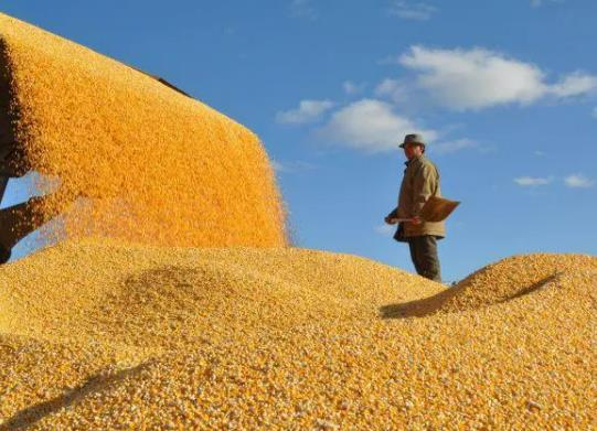 社保卡不激活糧食補貼能打進去嗎?2023糧食補貼是一次性到賬嗎 社保卡不激活糧食補貼能打進去嗎?2023糧食補貼是一次性到賬嗎