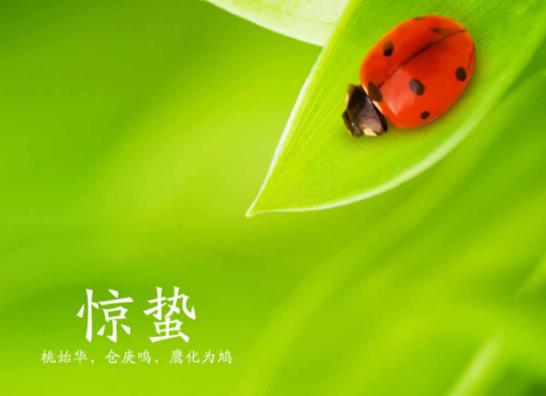 驚蟄為什么要打小人?驚蟄打小人有什么忌諱 驚蟄為什么要打小人?驚蟄打小人有什么忌諱