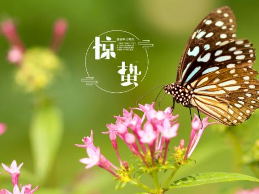 驚蟄怎么樣打小人去晦氣?驚蟄打小人對自己有害嗎 驚蟄怎么樣打小人去晦氣?驚蟄打小人對自己有害嗎