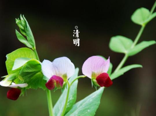 (ji)?z)Ǯ?dng)᣿(ji)?z)rgʲôv