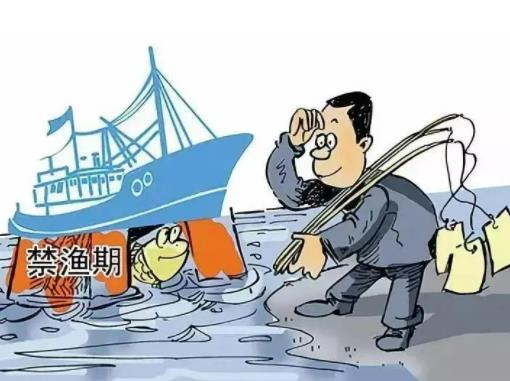 禁漁期是不是指所有河流?禁漁期在河道捉蟹犯法嗎 禁漁期是不是指所有河流?禁漁期在河道捉蟹犯法嗎