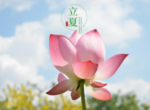 2023年立夏之后降雨會(huì)增多嗎?2023立夏是晝短夜長(zhǎng)還是晝長(zhǎng)夜短 2023年立夏之后降雨會(huì)增多嗎?2023立夏是晝短夜長(zhǎng)還是晝長(zhǎng)夜短