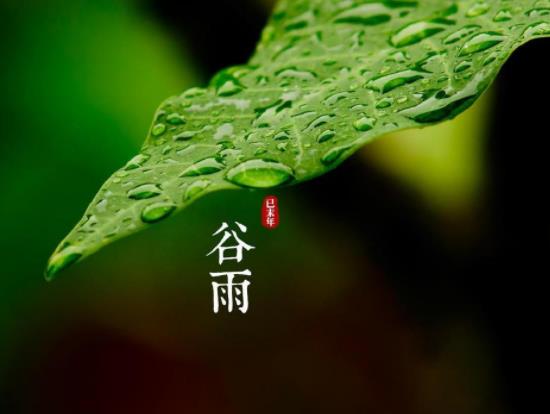 2023年谷雨是幾月幾號?2023年谷雨那天結婚好嗎 2023年谷雨是幾月幾號?2023年谷雨那天結婚好嗎
