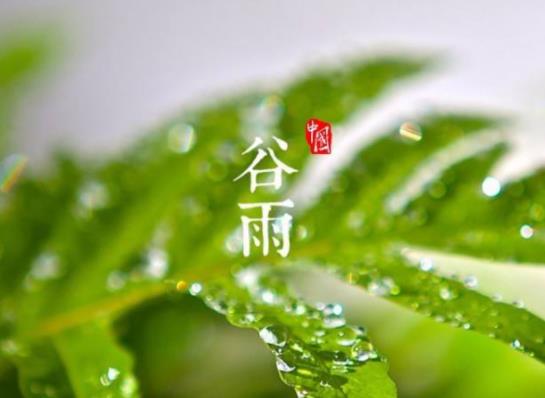 2023年谷雨后還冷嗎?2023谷雨過后還會下霜嗎 2023年谷雨后還冷嗎?2023谷雨過后還會下霜嗎