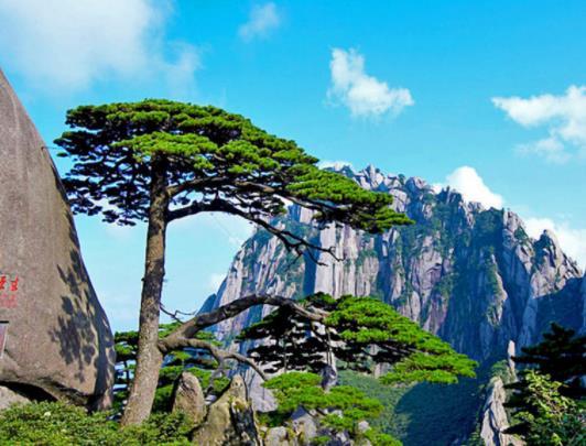 2023年黃山4月份溫度多少度?2023黃山4月份去景色好不好 2023年黃山4月份溫度多少度?2023黃山4月份去景色好不好