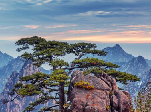 黃山的云海什么時(shí)候會出現(xiàn)?2023年黃山4月份雨多嗎 黃山的云海什么時(shí)候會出現(xiàn)?2023年黃山4月份雨多嗎