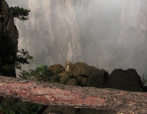 黃山的云海是云還是霧?四月中旬去黃山旅行穿什么合適 黃山的云海是云還是霧?四月中旬去黃山旅行穿什么合適