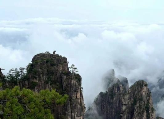 黃山的云海是云還是霧?四月中旬去黃山旅行穿什么合適 黃山的云海是云還是霧?四月中旬去黃山旅行穿什么合適