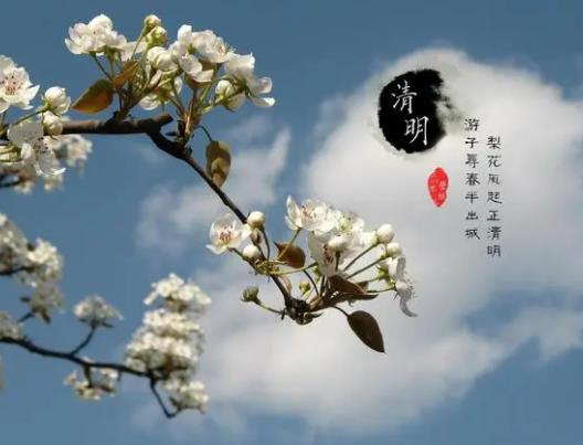 掛清明紙是什么意思?清明插柳有什么講究 掛清明紙是什么意思?清明插柳有什么講究