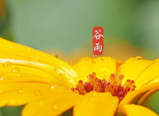 谷雨之后還要冷多久?24節氣過了哪個節氣就不會下霜了 谷雨之后還要冷多久?24節氣過了哪個節氣就不會下霜了