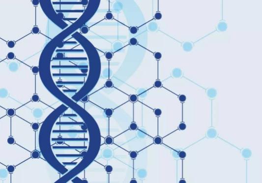 三代試管可以做雙胞胎嗎?孩子做了基因檢測嚇死了 三代試管可以做雙胞胎嗎?孩子做了基因檢測嚇死了