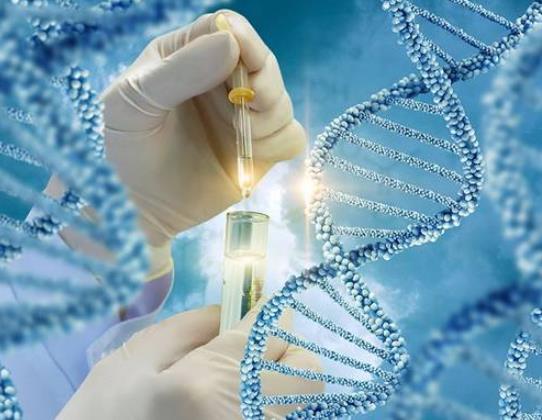 醫生推薦做基因檢測有回扣嗎?華大基因檢測準不準 醫生推薦做基因檢測有回扣嗎?華大基因檢測準不準