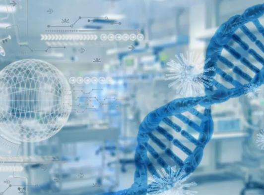醫生推薦做基因檢測有回扣嗎?華大基因檢測準不準 醫生推薦做基因檢測有回扣嗎?華大基因檢測準不準
