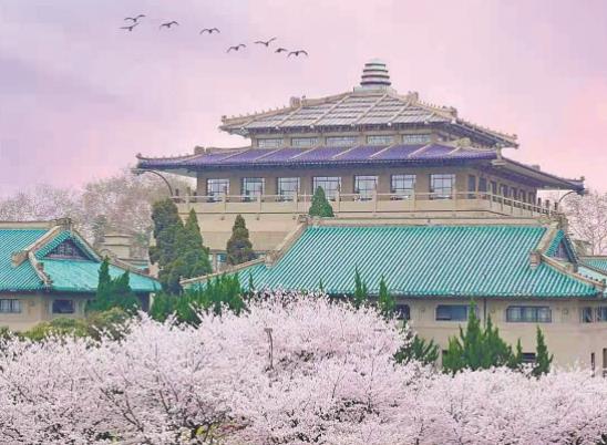 2023五一去武漢還能看到櫻花嗎?五一去武漢大學需要預約進校嗎 2023五一去武漢還能看到櫻花嗎?五一去武漢大學需要預約進校嗎