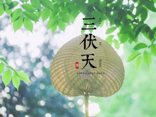三伏天怎么養生?三伏天吃什么比較好 三伏天怎么養生?三伏天吃什么比較好